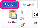 Menu Fichier - Office 2010